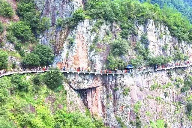 “小当归”踏歌而行，奔赴跨越海峡的“敖包相会”